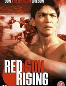 Восход красного солнца