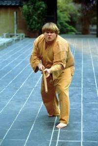 Кадр Ниндзя из Беверли Хиллз