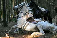 Кадр Ярослав. Тысячу лет назад