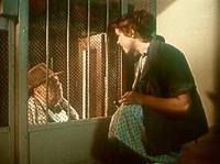 Кадр Девушка без адреса