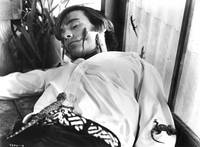 Кадр Лягушки