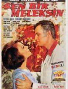 Sen bir meleksin