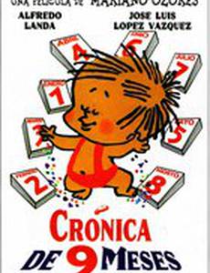 Хроника девяти месяцев