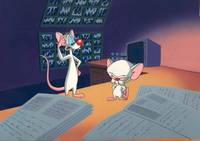 Кадр Пинки и Брейн