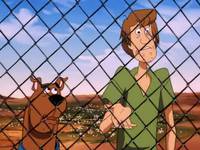 Кадр Скуби-Ду! и нашествие инопланетян (видео)