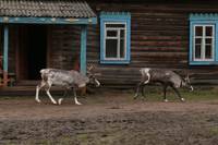 Кадр Сердце мира