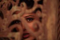 Кадр Черное золото