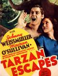 Постер из фильма "Спасение Тарзана" - 1