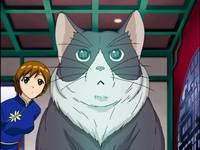 Кадр Стратос 4