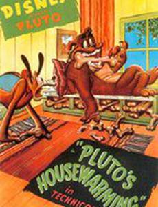 Драка в доме Плуто