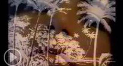 Вступительные титры