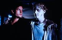 Кадр Кладбище домашних животных