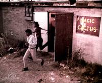 Кадр The Young Animals