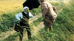 Кадр из фильма "Солнце, сено, эротика" - 2