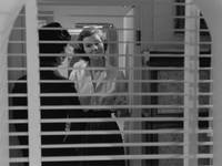 Кадр Подруги