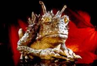 Кадр Звездные войны: Эпизод 4 – Новая надежда