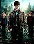 Постер из фильма "Гарри Поттер и Дары смерти: Часть 2" - 1