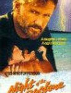 Ночной циклон