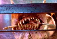 Кадр Презерватив-убийца