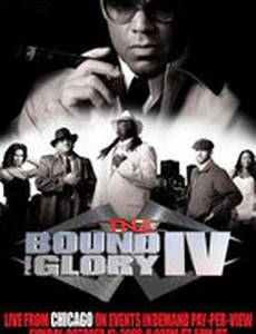 TNA Предел для славы IV