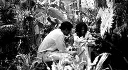 Кадр из фильма "Независимость" - 2