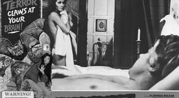 Кадр из фильма "Ящерица в женской коже" - 2