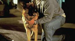 Кадр из фильма "К-9 III: Частные детективы (видео)" - 1