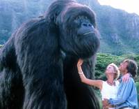 Кадр Могучий Джо Янг