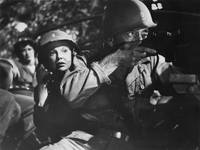 Кадр Арена боя