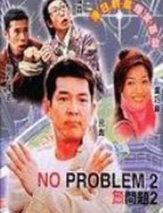 Никаких проблем 2