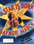 Постер из фильма "Звезда родилась" - 1