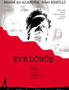 Возвращение домой