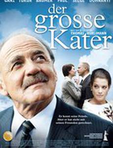 Большой кот