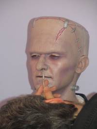 Кадр Kreating Karloff