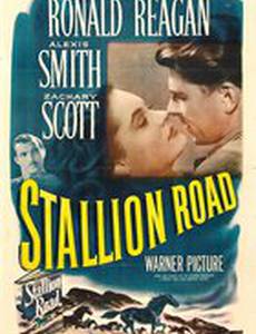 Stallion Road