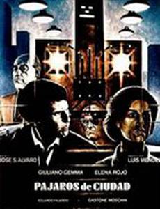 Городские птицы