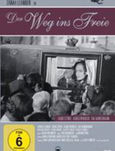 Der Weg ins Freie