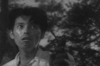 Кадр Бездомный пес