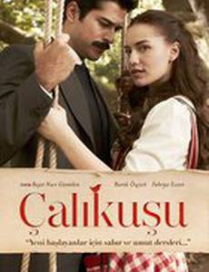 Королёк – птичка певчая