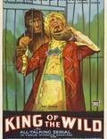 Постер из фильма "Король диких" - 1