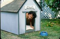 Кадр Животное