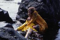 Кадр Ушко иголки