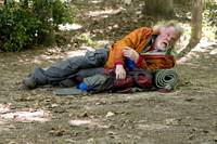 Кадр Прогулка по лесам