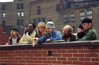 Кадр Добро пожаловать в Коллинвуд