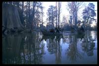 Кадр Властелин колец: Братство кольца