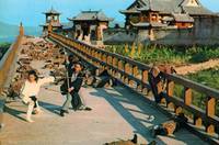 Кадр Новый однорукий меченосец