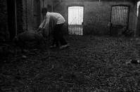 Кадр Свадебная ваза