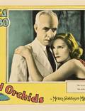 Постер из фильма "Дикая орхидея" - 1
