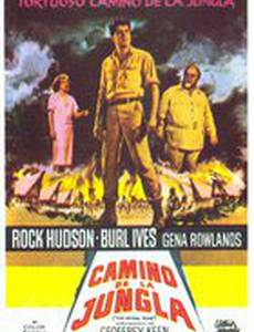 Спиральные дороги