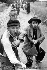 Кадр Полевые лилии